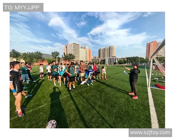 现役足球球星中国力量崛起探寻绿茵场上的激情与荣耀