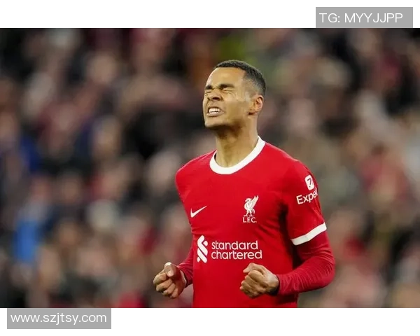 利物浦现役足球明星全面解析与球队未来发展前景展望