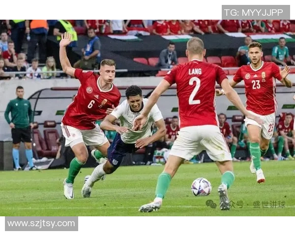 球星荟萃赛场激情四溢 聚焦足球明星与赛事精彩瞬间